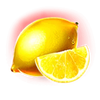 2023 hit slot lemon symbol