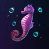 9 pearls of fortune seahorse symbol