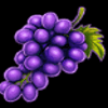 age of the gods mighty midas grapes symbol