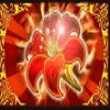 arising phoenix flower symbol