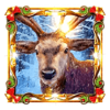 book of xmas reindeer symbol