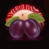cherry fiesta plum symbol