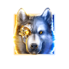 cyber wolf wolf symbol