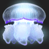 deep sea jellyfish symbol