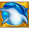 dolphins wealth dolphin symbol