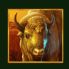 eagles gold bison symbol