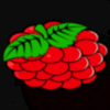 fenix play 27 berries symbol