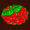 fenix play 27 deluxe cranberries symbol