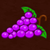 fenix play 27 deluxe grapes symbol