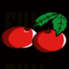 fenix play cherries symbol