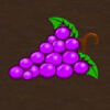 fenix play deluxe grapes symbol