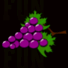 fenix play grapes symbol