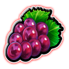 fortune five double slot grapes symbol