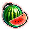 fortune five double slot melon symbol