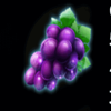 fruits on ice grape symbol