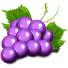 fruityliner 100 grape symbol