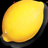 fruityliner 40 lemona symbol