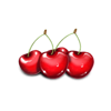fruityliner 5 cherry symbol