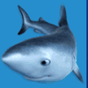 great blue shark symbol