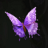holla die waldfee butterfly symbol