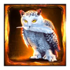 hunters moon gigablox owl symbol
