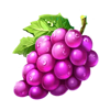 imperial fruits 100 lines grapes symbol