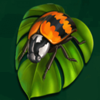 into the jungle ladybug symbol