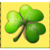 irish luck clover symbol
