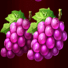 jokers coins hold and win grapes symbol