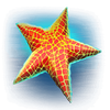 lord of the seas starfish symbol