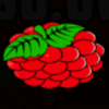 magic fruits 27 berries symbol