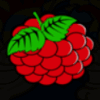 magic fruits 4 berries symbol