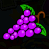 magic fruits 4 grapes symbol