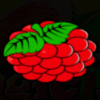 magic fruits 81 berries symbol