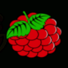 magic fruits berries symbol