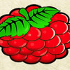 magic fruits deluxe cranberries symbol