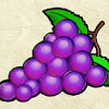 magic fruits deluxe grapes symbol