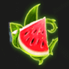 magic garden 10 watermelon symbol