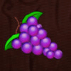 magic target deluxe grapes symbol