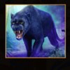 magical amazon panther symbol