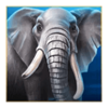 majestic megaways elephant symbol