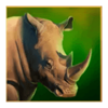 majestic megaways rhino symbol
