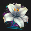 moonstone flower symbol