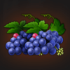 multi hot 5 grapes symbol