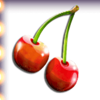 penny fruits cherry symbol
