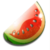 penny fruits melon symbol