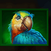 pirate chest hold and win macaw symbol