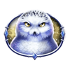 queen of ice owl symbol