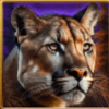 reel wolf cougar symbol