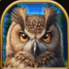 reel wolf owl symbol